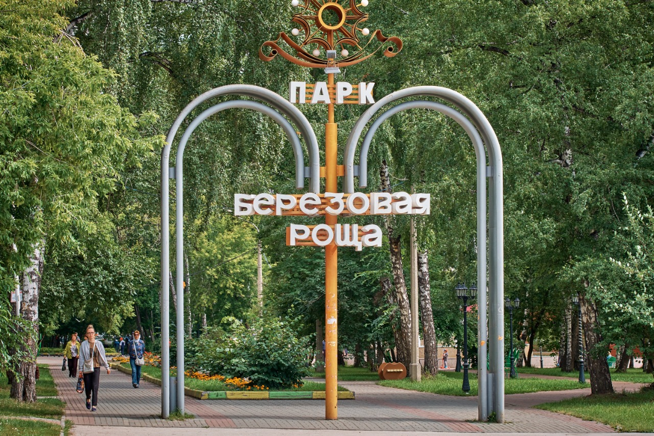 Березовая роща